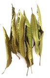 Dehydrated Mango Leaves