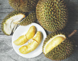 Durian fruits Exporters Supplier Sri Lanka LK Trading Lanka (Private) Limited