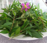 Dehydrated Heen bovitiya Leaves powder tea bags Exporters Supplier Sri Lanka LK Trading Lanka (Private) Limited