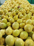 Passion fruit Exporters Supplier Sri Lanka LK Trading Lanka (Private) Limited