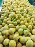 Passion fruit Exporters Supplier Sri Lanka LK Trading Lanka (Private) Limited