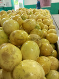 Passion fruit Exporters Supplier Sri Lanka LK Trading Lanka (Private) Limited