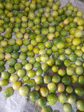 Passion fruit Exporters Supplier Sri Lanka LK Trading Lanka (Private) Limited