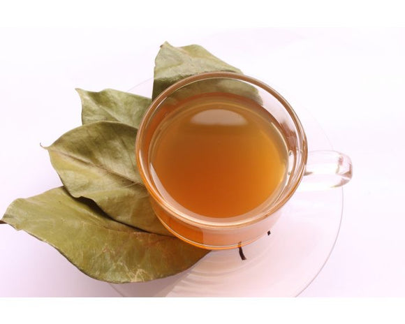 Soursop Leaves TEA Exporters Suppliers Sri Lanka LK Trading Lanka (Private) Limited