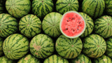 Watermelon - LK Trading Lanka (Private) Limited