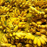 Sri Lankan Banana  (Sweet banana, Sour banana) - LK Trading Lanka (Private) Limited